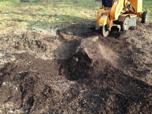 stump_grinding_manchester